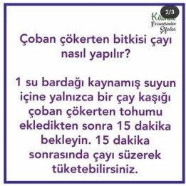 Çoban çökerten  otu (100gr)