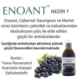 RESETİN (ENOANT) SİYAH ÜZÜM KABUK VE ÇEKİRDEK EKSTRESİ