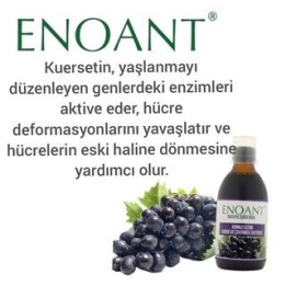 RESETİN (ENOANT) SİYAH ÜZÜM KABUK VE ÇEKİRDEK EKSTRESİ