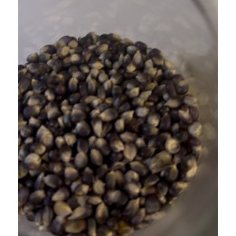 SİYAH PATLATMALIK MISIR 750 GR