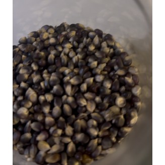 SİYAH PATLATMALIK MISIR 750 GR